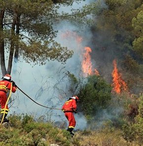 İspanya'da orman yangını, Orman yangınları