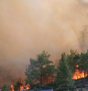Mersin'in Gülnar İlçesi'nde akşam saatlerinde başlayan orman yangını devam ediyor. Yangınının yerleşim birimlerine yaklaşması nedeniyle şu ana kadar 3 köy boşaltıldı.