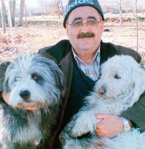 Iki Sus Kopegi Yuzunden Isinden Oldu Mudur Ile Saymanin Kopek Kavgasi Surgunle Sonuclandi Timur34
