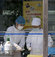 H7N9 virüsü Pekin'de