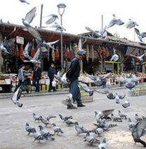 Gaziantep ve Siirt battı!