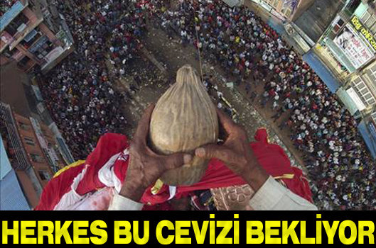 Herkes bu cevizi bekliyor