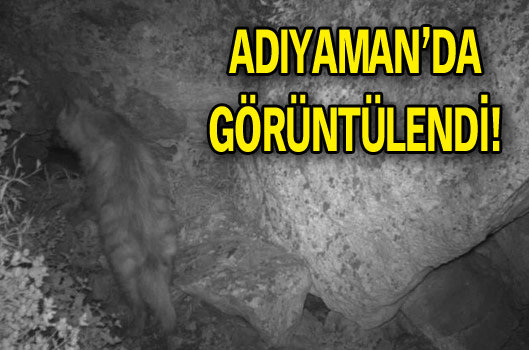 Adıyaman'da görüntülendi!