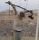 Yemen'de vahşet!