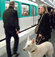 Köpeklere metro hakkı!