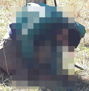 1003658_detay.jpg?1414398544