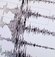 Bartın'da deprem