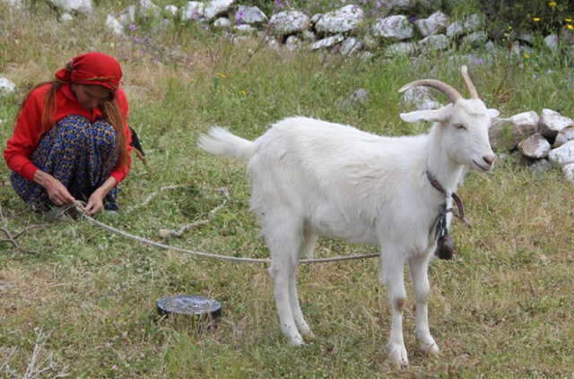 Bir zamanların ünlüleri şimdi ne yapıyor?