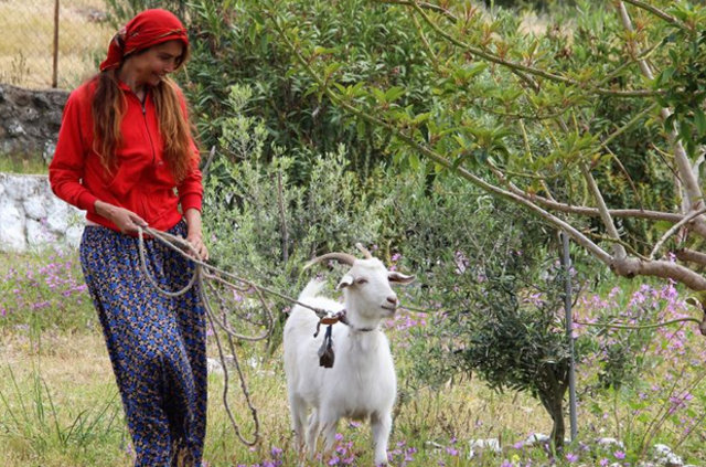 Bir zamanların ünlüleri şimdi ne yapıyor?