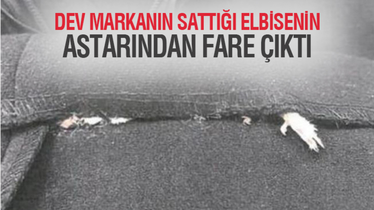 New York'ta yaşayan Cailey Fiesel'ın Zara'dan aldığı elbisenin astarından ölü bir fare çıktı.