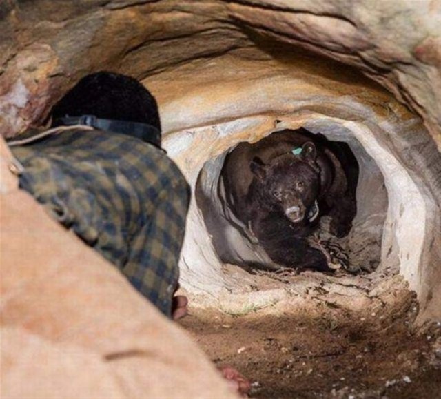 1 saniye sonrasını merak edeceğiniz fotoğraflar