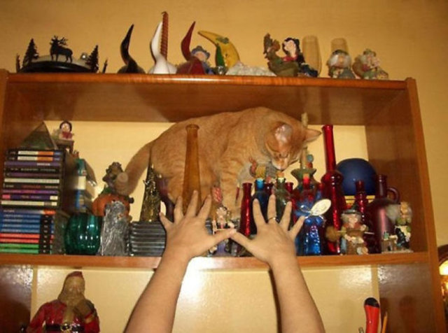 1 saniye sonrasını merak edeceğiniz fotoğraflar