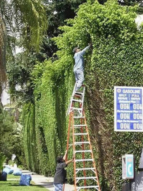 1 saniye sonrasını merak edeceğiniz fotoğraflar