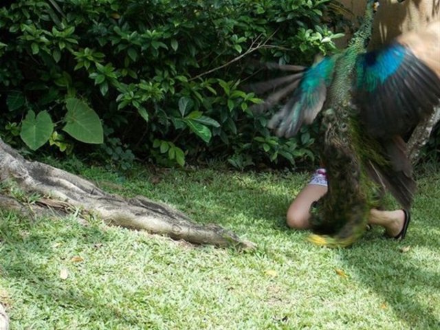 1 saniye sonrasını merak edeceğiniz fotoğraflar