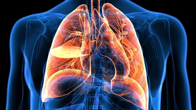 Akciğer kanserinin belirtileri nelerdir?