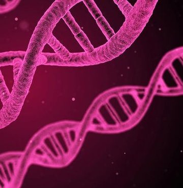 Çinli bilim insanları, kanser tedavisinde dönüm noktası olabilecek DNA nanorobotlorı geliştirdi