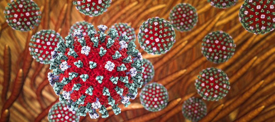 1868577 6851f5b48f0627c4ab4c45b4bd6089d8