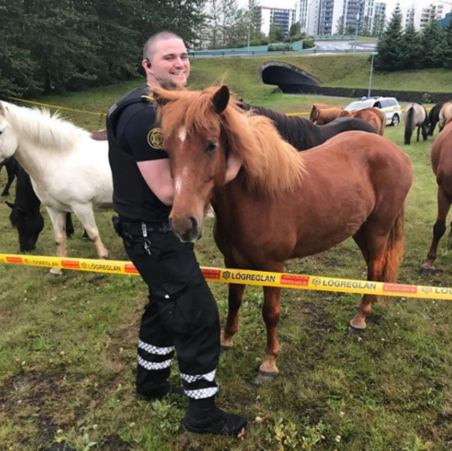 İzlanda polisi sosyal medyada fenomen oldu!