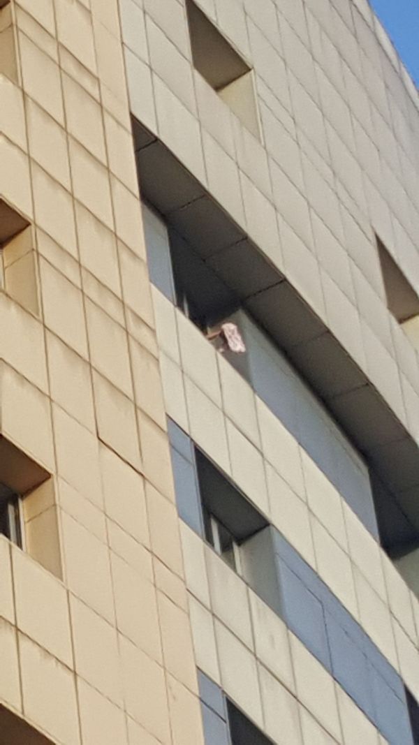 1907394 48b009f26457780694b16d353956eeb1