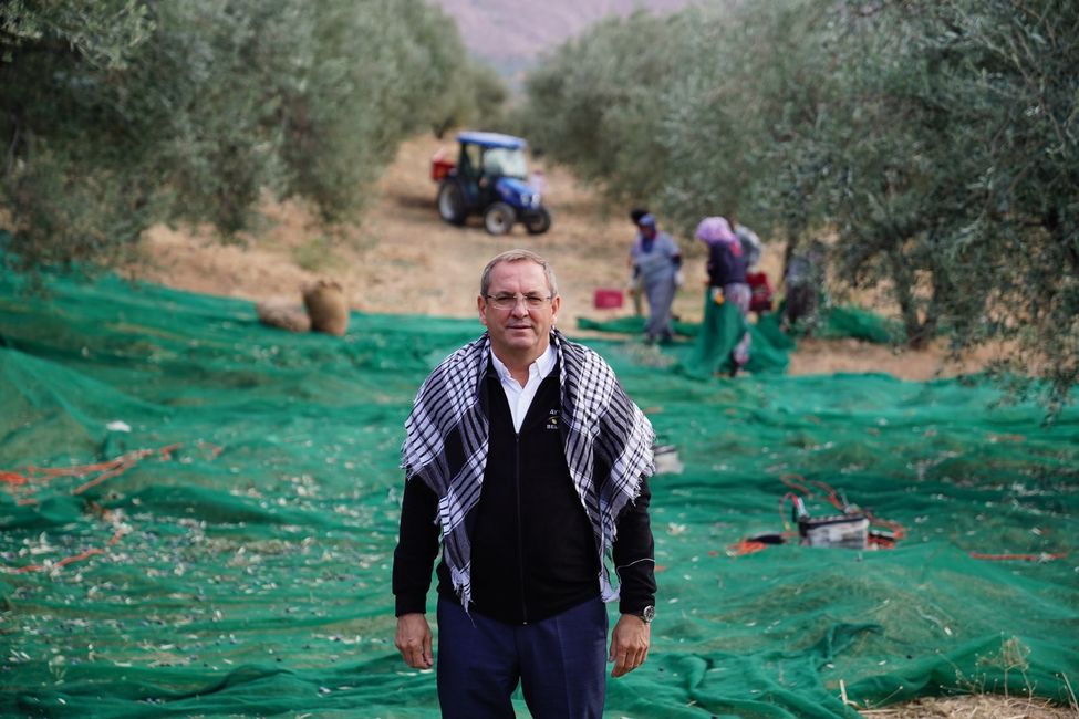 Ayvalık 17 Uluslararası Zeytin Hasat Festivaline hazırlanıyor HT Gastro