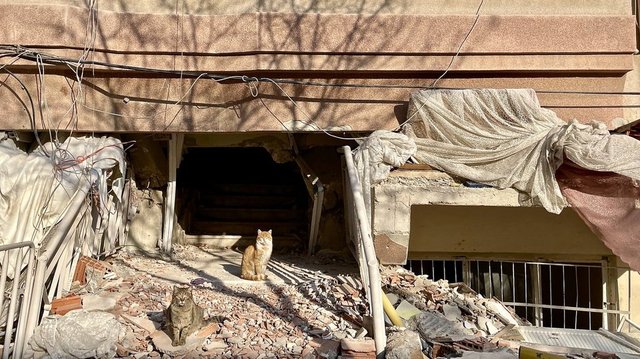 Antakya da depremin yıkımı fotoğraf karelerine yansıdı Deprem Haberleri