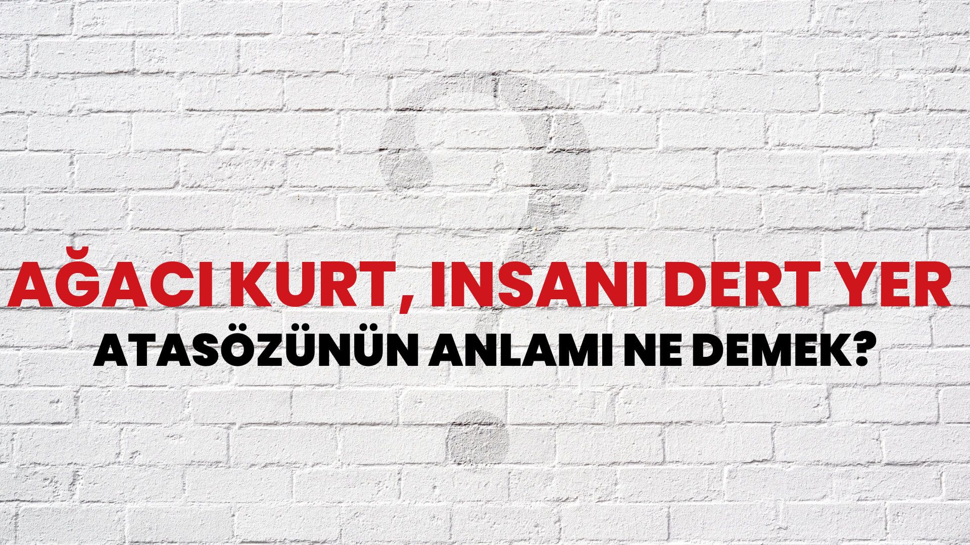 Ağacı kurt insanı dert yer Atasözünün Anlamı Ne Demek Habertürk