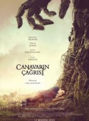 Liam Neeson Oynadigi Filmler