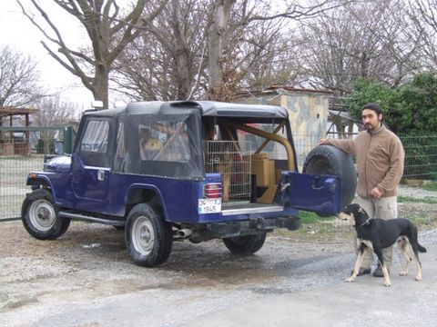 Köpek Taksi