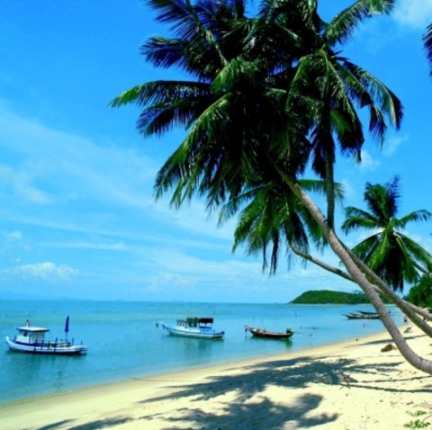 100f18d2d13b4901e0d15f1e4689af53_k.jpg