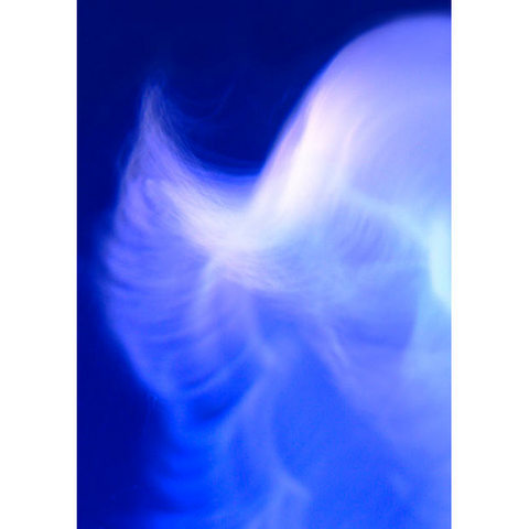 fd165d61aa2569cde52b1489efc01ac3_k.jpg