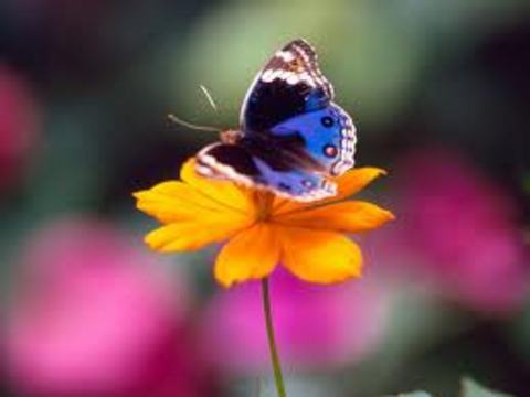 İnsanı şok eden bilgiler! Bu gerçekleri daha önce duymadınız görmediniz bilmediniz! 50be65d4af29ee46cc9cf56b49ff8048 k İnsanı şok eden bilgiler! Bu gerçekleri daha önce duymadınız görmediniz bilmediniz!