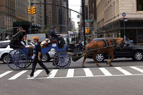 2cd5cd7aafba6c07cb3faebc115dcaed_k.jpg