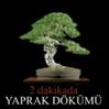 Beş yıl süren dizi iki dakikada nasıl özetlenir