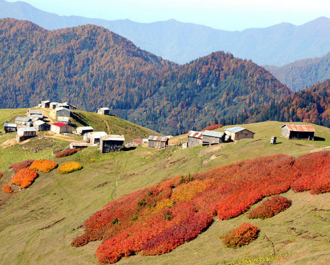 Karadeniz yaylaları Karadeniz yaylaları
