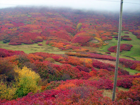 Karadeniz yaylaları Karadeniz yaylaları