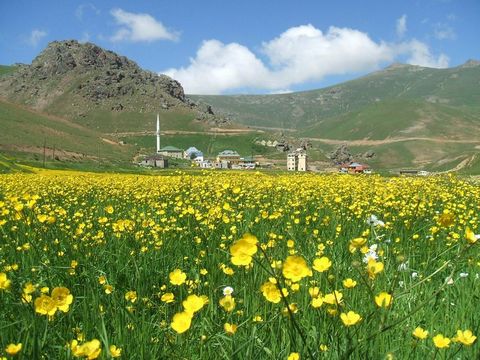 Karadeniz yaylaları Karadeniz yaylaları