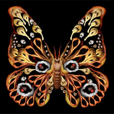 b895ff35a34ad419c679e8ce14f58265_k.jpg