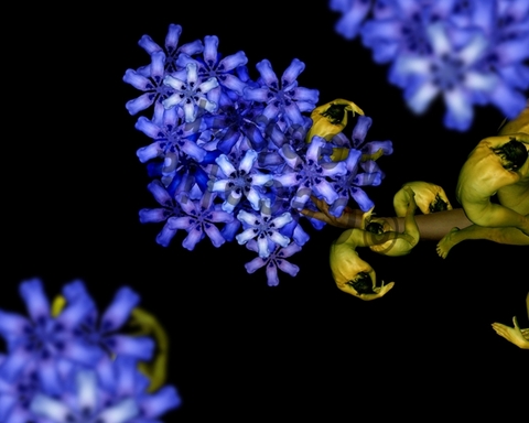 f62cf794536d6472c89aa01aa52c9e37_k.jpg