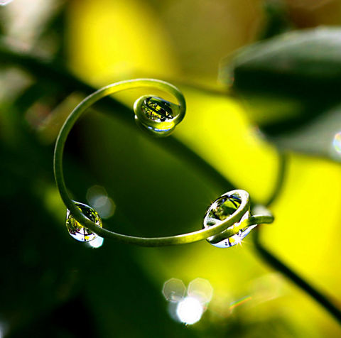c894188b712e1651691ef6f19a1965df_k.jpg
