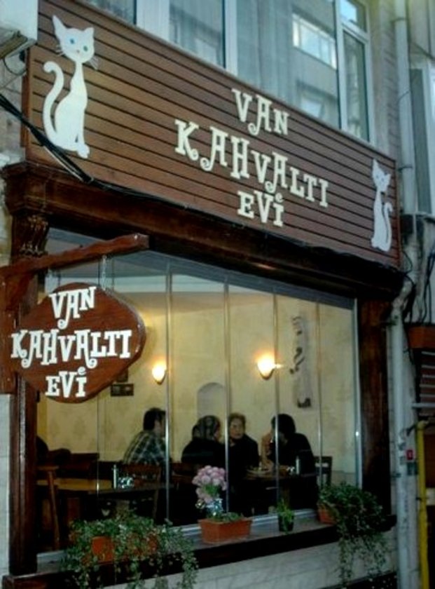 İstanbul’un en iyi ka...
