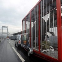 İstanbul'a dinozor indi