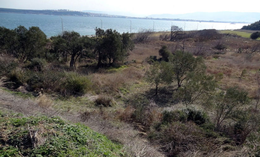 Çanakkale’de ”ş...