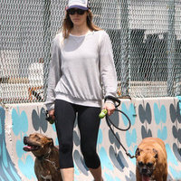 Jessica Biel geri döndü