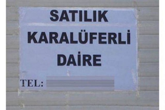 5b1c49e735f8e52c068202c36eafebb0_k.jpg