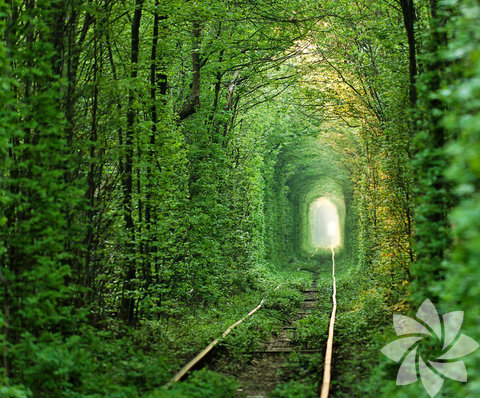 db4ac28a5b5a3c8ead6840c43d58f69d_k.jpg