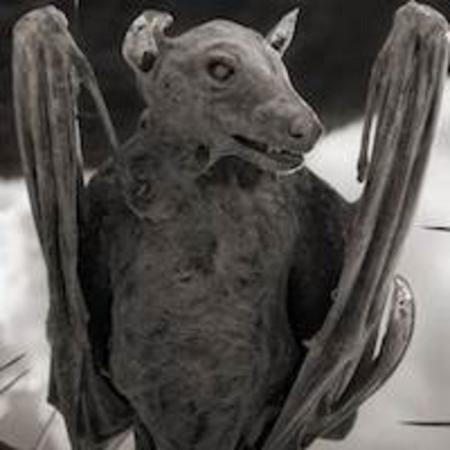 3a86a83a986f0fb0ee3f075515f97f70_k.jpg?1