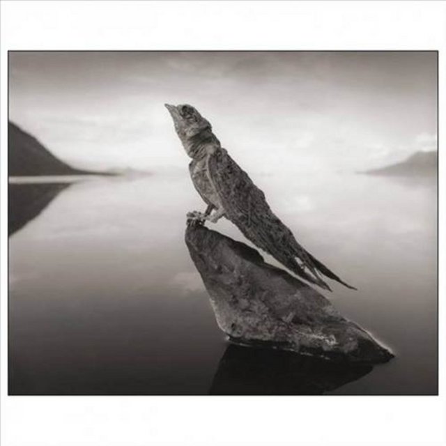 44c517bf0f61c9e7d088f845a5bcdaac_k.jpg?1