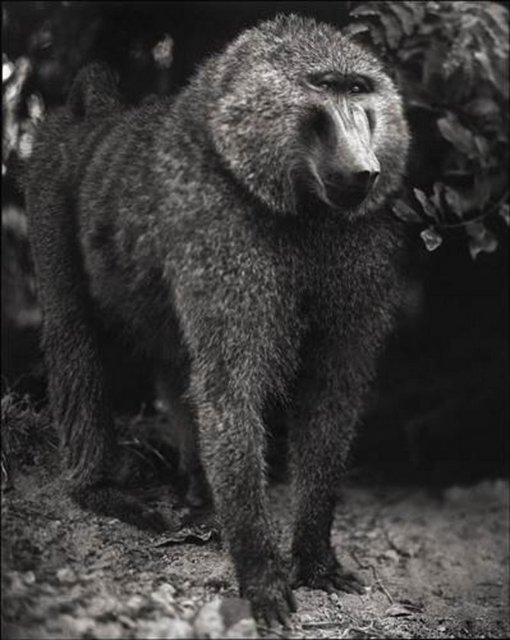 587192f9fda28b667492a4af7c508fa5_k.jpg?1