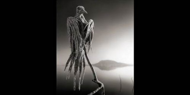 5d17bb2ed45a203f5152ff0a5be0a04c_k.jpg?1