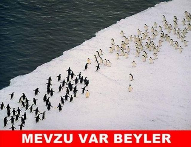 60e5fa9fa376a6b855b8a8338b6732c9_k.jpg